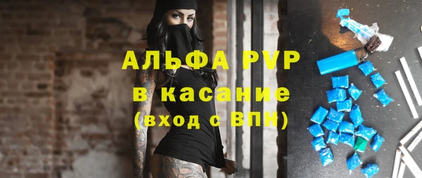 гидра Арсеньев