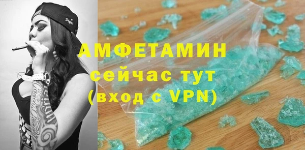 гидра Арсеньев