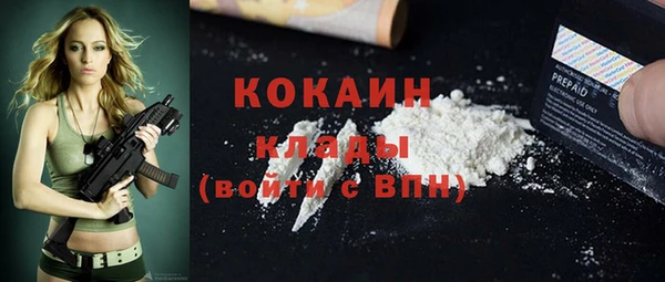 гидра Арсеньев
