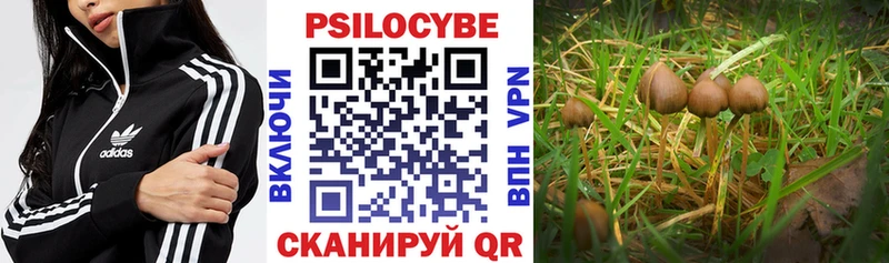 Галлюциногенные грибы ЛСД  где продают наркотики  Красный Кут 