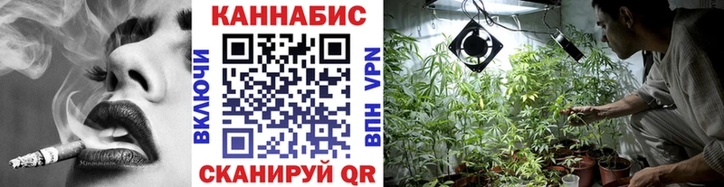 Конопля план  где продают   Красный Кут 